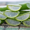 Aloe vera reduce riscul de afecțiuni cronice, cum ar fi diabetul