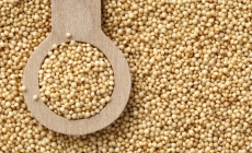 Amarantul, alimentul fără gluten care vă protejează sănătatea și silueta