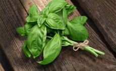 Busuiocul poate fi folosit în diverse scopuri medicinale