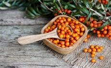 Cătina, sursă naturală de sănătate și vitalitate