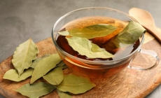 Ceaiul de dafin, băutura care vă ajută să aveți o imunitate mai puternică în sezonul rece