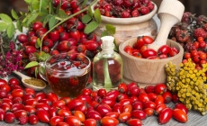 Ceaiuri și plante care vă întăresc organismul în zilele mohorâte de toamnă