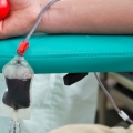 Fără efortul donatorilor de sânge, pacienţii nu pot fi ajutaţi