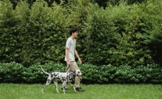 Mare atenţie la iarbă și căpuşe! Boala Lyme vă paște la orice pas