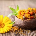 Gălbenelele, remediu pentru diferite probleme ale pielii