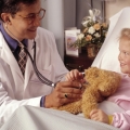 Copii internaţi la Constanţa, infectaţi cu rotavirus în spital. Explozie de infecţii intra-spitaliceşti
