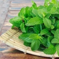 Menta este o sursă bună de antioxidanți