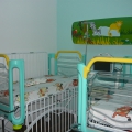 Prima secţie privată de pediatrie din Dobrogea, inaugurată la Constanţa