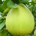 Cum ne ajută pomelo să fim sănătoşi