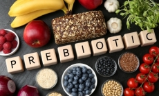 Prebioticele și rolul lor în menținerea sănătății digestive