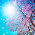 Astăzi sărbătorim echinocţiul de primăvară. 4 sfaturi pentru un nou început