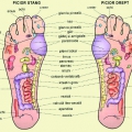 Harta punctelor reflexogene din tălpi