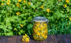 Rostopasca poate reduce severitatea refluxului gastroesofagian