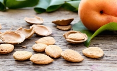 Cât de periculos este să consumi sâmburi de caise