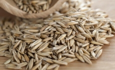 Secara ajută la menținerea unei greutăți corporale optime