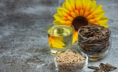 Semințele de floarea soarelui contribuie la buna funcționare a sistemului imunitar