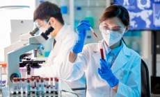 Ureea serică, o analiză necesară pentru a evalua starea de sănătate a rinichilor