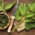 Urzicile au efecte detoxifiante remarcabile