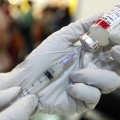 Sanofi Pasteur va furniza vaccinul antirabic în spitalele din România